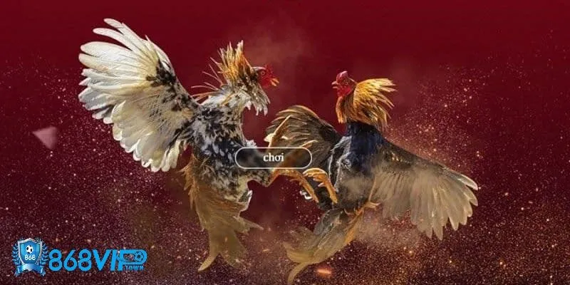 Chiến thuật chơi đá gà 868vip hiệu quả